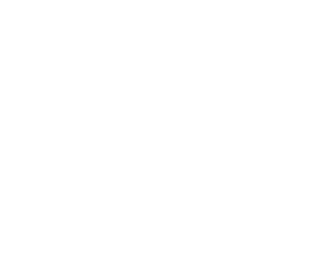 logo D&I blanc