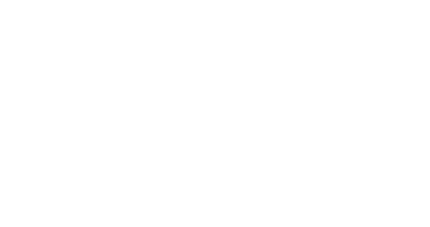 logo D&I blanc